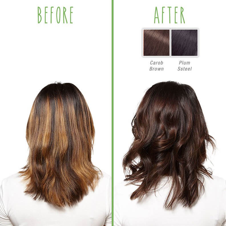 No Damage Vegan Hair Color Biolage